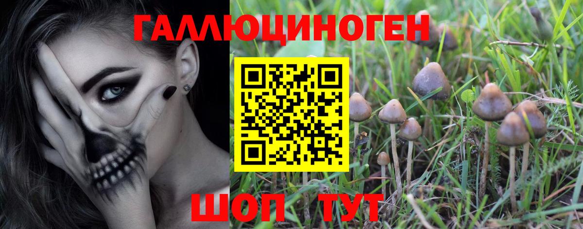 Псилоцибиновые грибы мицелий Михайловск